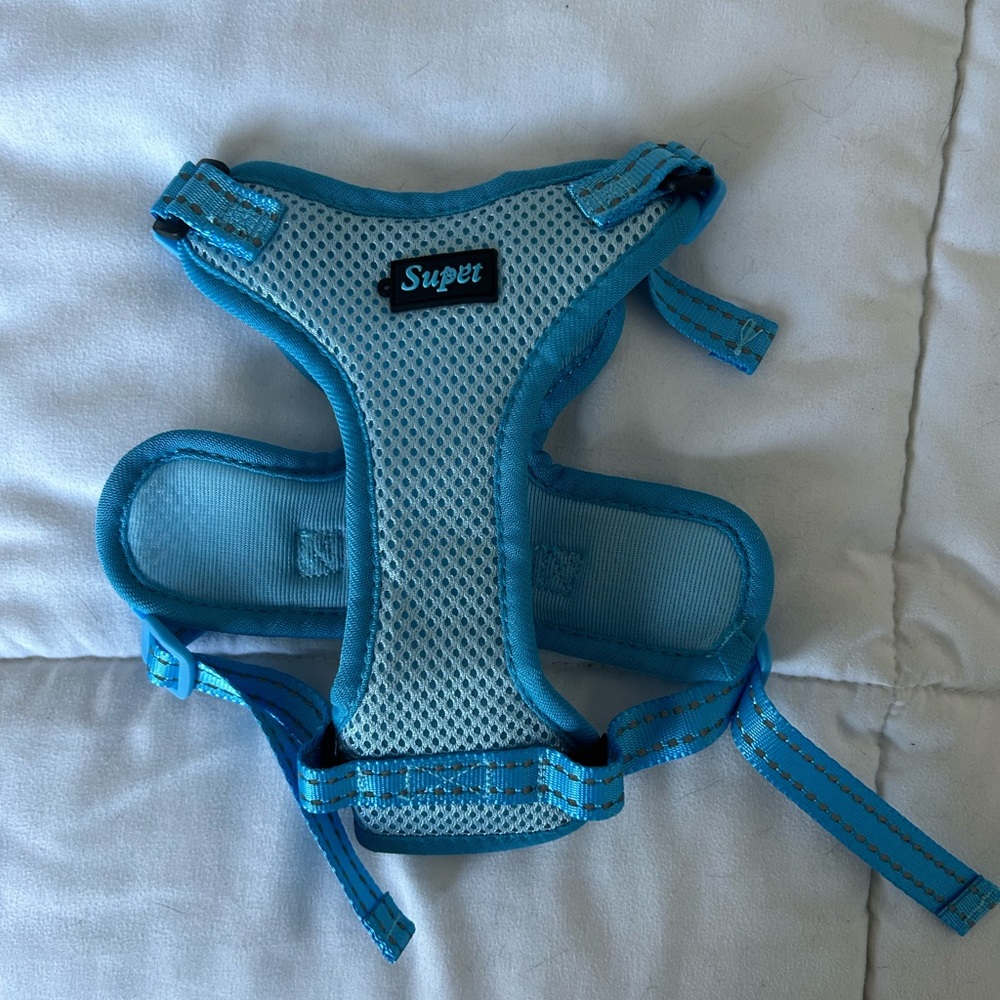 NWOT Cat Harness and Leash